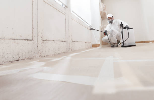 24/7 Emergency Mold Remediation experts in Fairchild AFB, WA