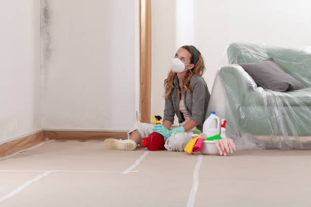 Reliable Mold Remediation contractor in Fairchild AFB, WA by 24 Hour Mold Removal