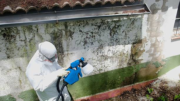 Top rated local Mold Remediation specialists in Fairchild AFB, WA